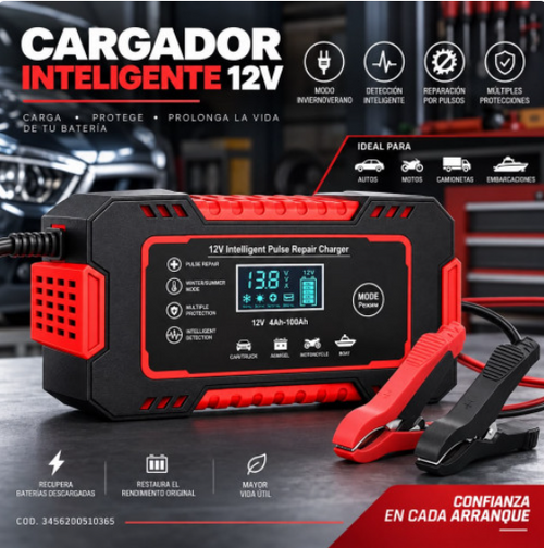 Cargador inteligente 12V